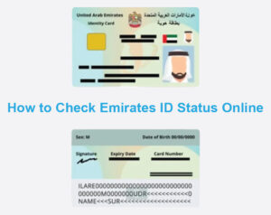 How to Check Emirates ID Status Online